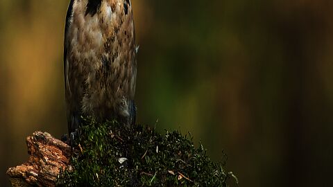 Afbeelding van een bordje whatsapp buurtpreventie